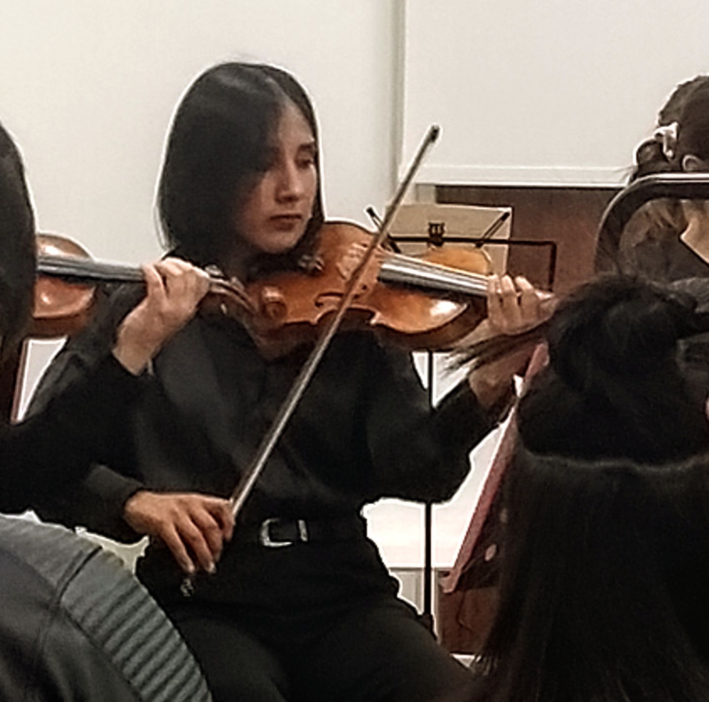 Camerata en escena