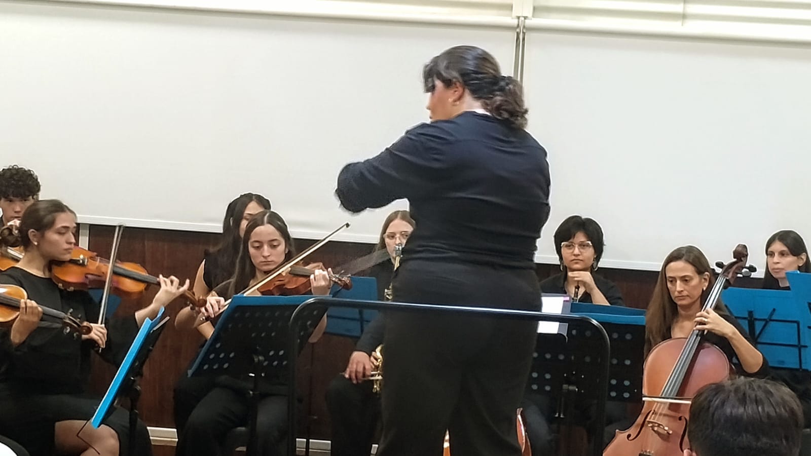 Camerata en concierto